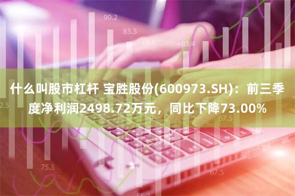 什么叫股市杠杆 宝胜股份(600973.SH)：前三季度净利润2498.72万元，同比下降73.00%