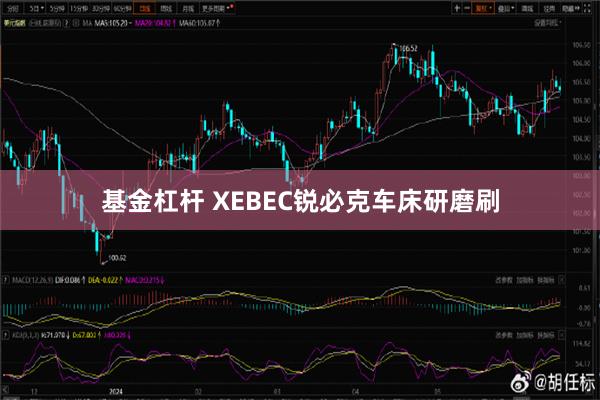 基金杠杆 XEBEC锐必克车床研磨刷