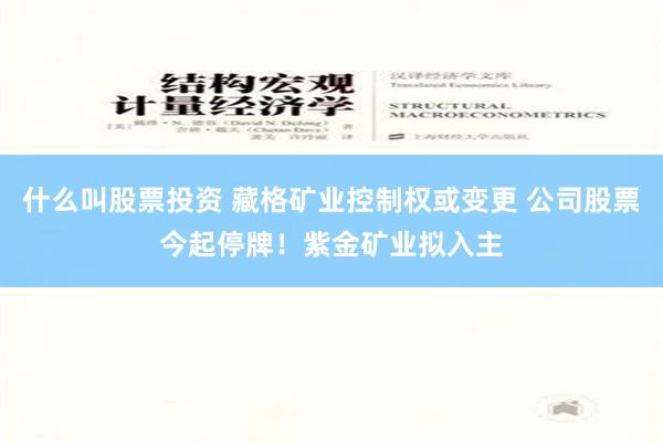 什么叫股票投资 藏格矿业控制权或变更 公司股票今起停牌！紫金矿业拟入主