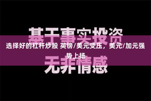 选择好的杠杆炒股 英镑/美元受压，美元/加元强势上扬